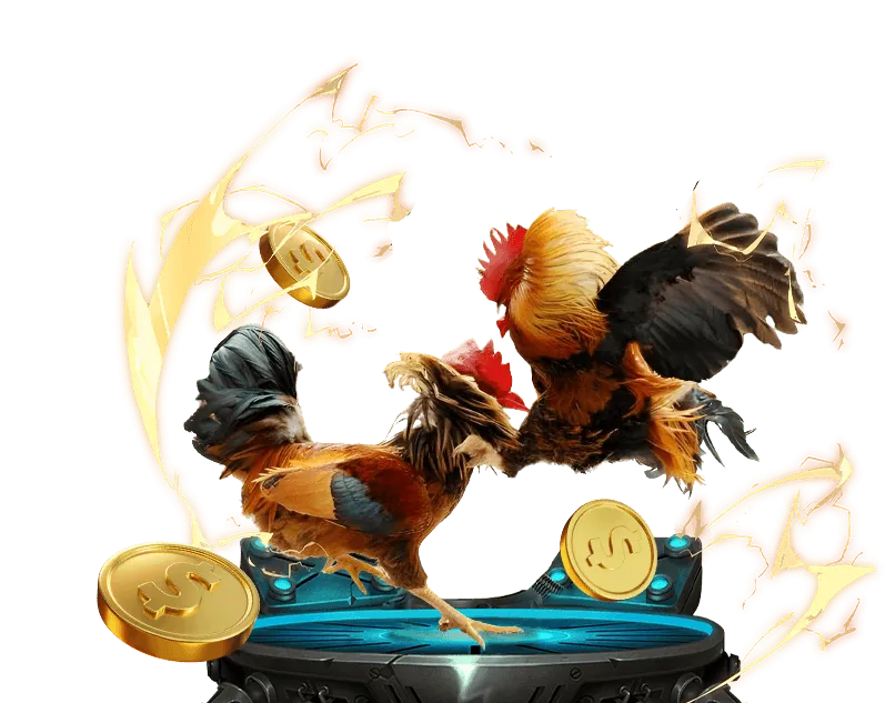 Dịch vụ hỗ trợ cá nhân hóa cho thành viên VIP pg66 game